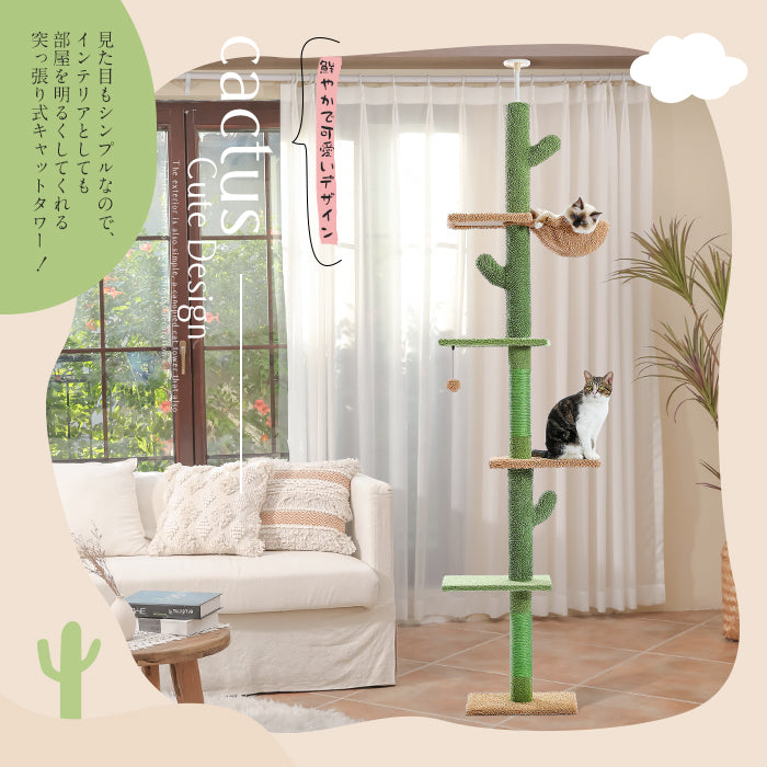 キャットタワー 突っ張り 太い支柱 極太 サボテン スリム ツッパリ つっぱり キャットステップ 猫タワー 爪とぎ 麻紐 おもちゃ キャットウォーク 省スペース コンパクト シンプル 可愛い かわいい おしゃれ 高さ239~275cm