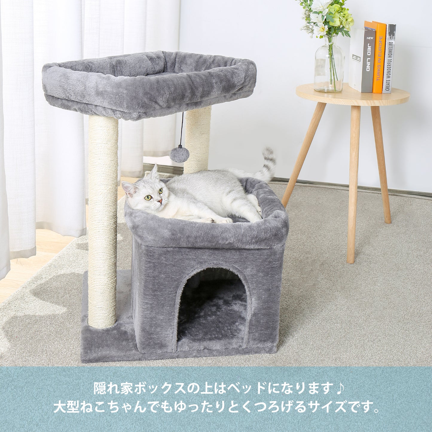 Nagaipet キャットタワー 据え置きタイプ 二層 コンパクト 省スペース AMT0028