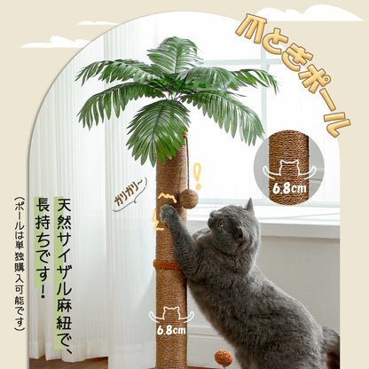 Nagaipet 猫 爪研ぎポール ミニ ヤシの木 ココナッツツリー型 ココヤシ 観葉植物 省スペース 爪とぎ おもちゃ 麻縄 天然サイザル 小型キャットタワー 猫タワー コンパクト 小型 ガリガリ 棒 誘い玉 運動不足 ストレス解消 高さ85cm