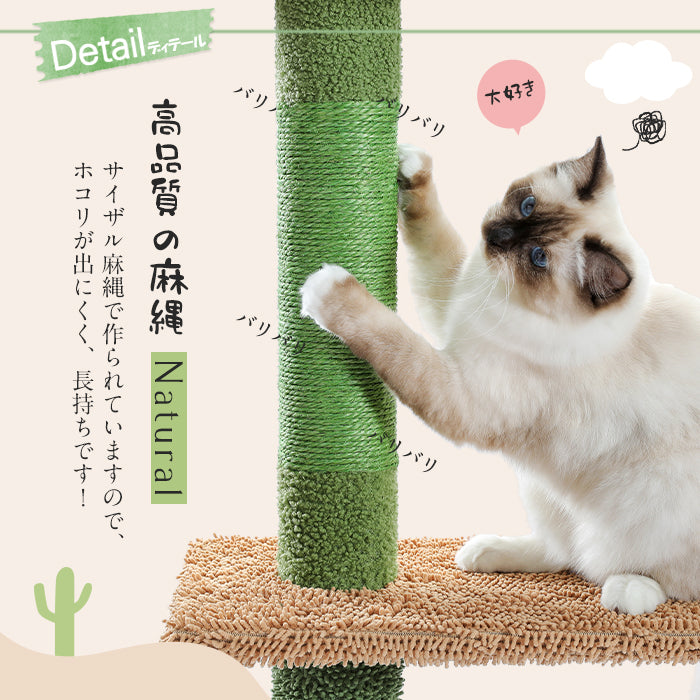 Nagaipet キャットタワー 突っ張り 太い支柱 極太 サボテン スリム ツッパリ つっぱり キャットステップ 猫タワー 爪とぎ 麻紐 おもちゃ キャットウォーク 省スペース コンパクト シンプル 可愛い かわいい おしゃれ 高さ239～275cm AMT0187