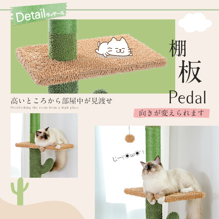 Nagaipet キャットタワー 突っ張り 太い支柱 極太 サボテン スリム ツッパリ つっぱり キャットステップ 猫タワー 爪とぎ 麻紐 おもちゃ キャットウォーク 省スペース コンパクト シンプル 可愛い かわいい おしゃれ 高さ239～275cm AMT0187