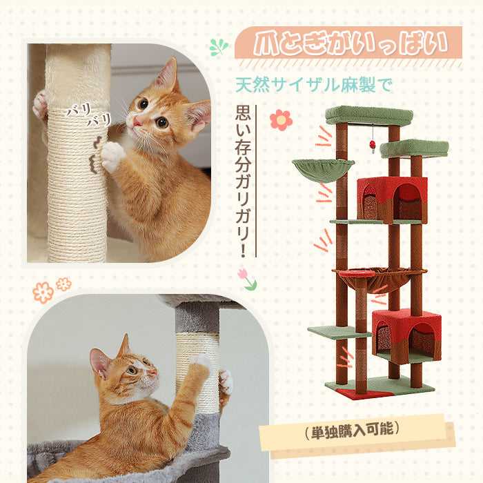 Nagaipet キャットタワー スリム 大型猫用 多頭飼い 猫タワー 据え置き型 コンパクト ハンモック サボテン シンプル 高さ175cm AMT0293